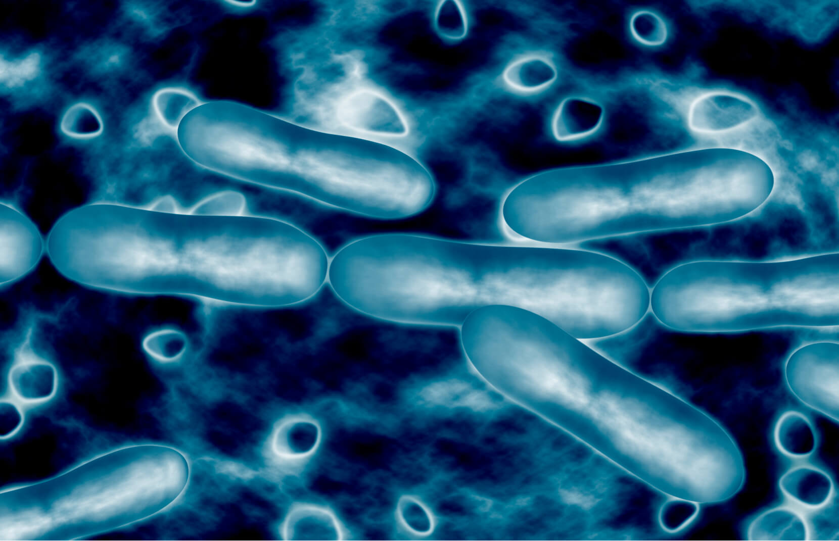 細菌のイメージ画像