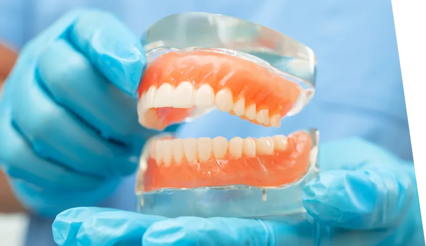 インプラント模型を手にしているドクター