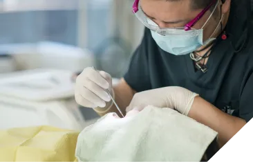 インプラントのメンテナンスをしている歯科医師